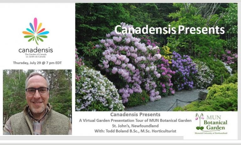 Canadensis Presents: A Virtual Garden Tour of MUN BOTANICAL GARDEN – July 29