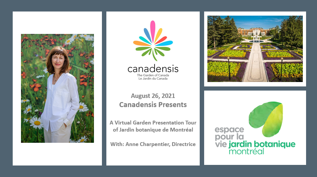 Canadensis Presents: A Virtual Presentation – Jardin botanique de Montréal – August 26