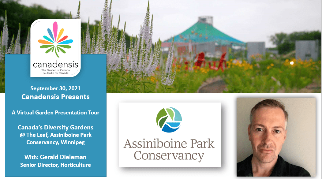 Canadensis Presents: A Virtual Visit to Diversity Gardens @ Assiniboine Park Conservancy