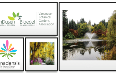 Canadensis Presents: A Virtual Visit to VanDusen Botanical Garden, Vancouver