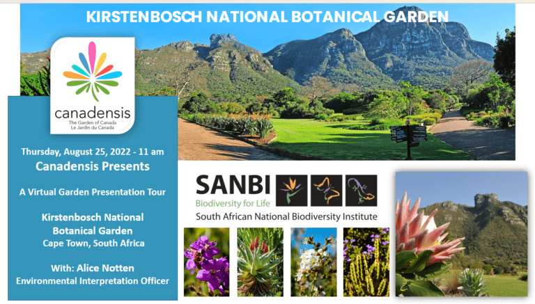 Canadensis Presents: A Virtual Visit to Kirstenbosch National Botanical Garden, Cape Town, SA