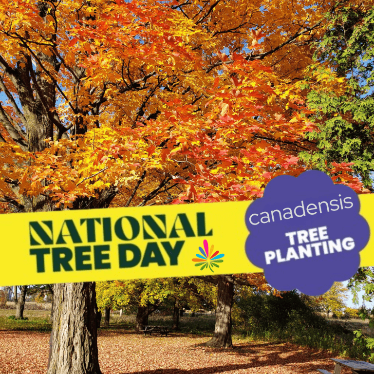 NATIONAL TREE DAY AT CANADENSIS
